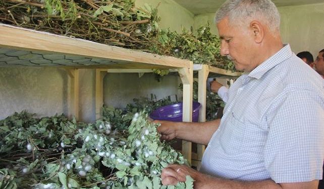 Evinin boş odasından 42 günde 3500 TL kazandı