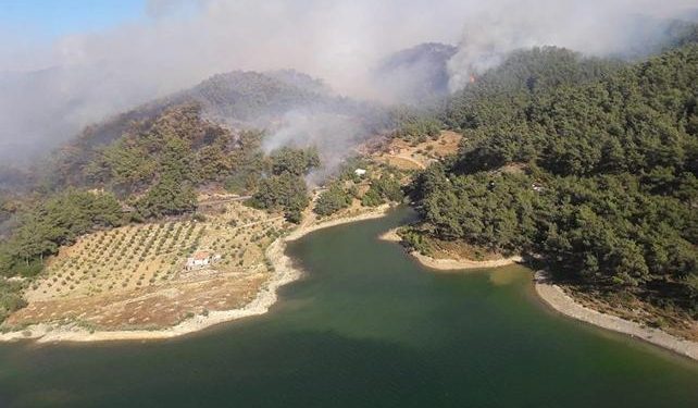 İzmir’de orman yangını: 2 gözaltı; söndürme çalışmaları devam ediyor