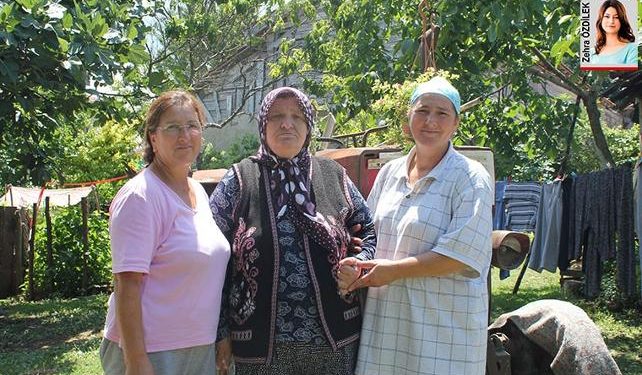 Karadeniz’i geçti bizim tarlayı buldu