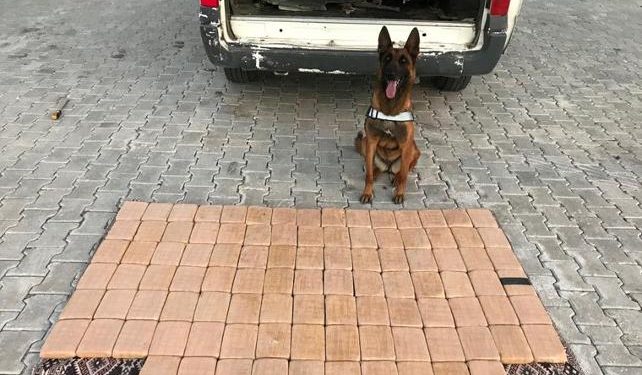 Van’da park halindeki minibüste 51 kilo eroin ele geçirildi