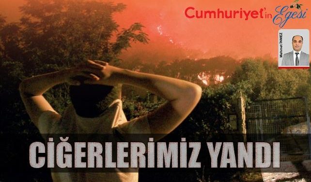 1 hafta içinde çıkan 20 yangından 400 hektarlık alan yok oldu