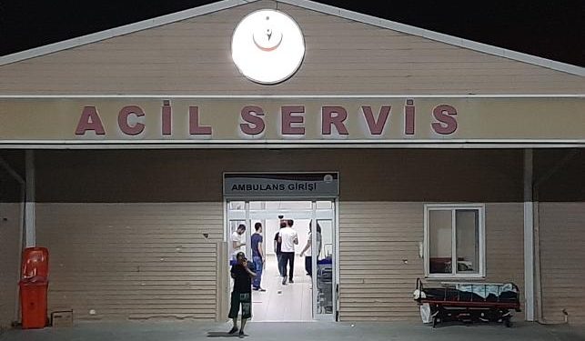 Ankara’da 14 kişi karantinaya alınmıştı: Nedeni sivrisinek alerjisi çıktı