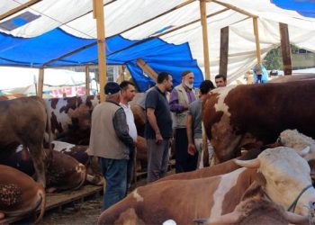 Bayramın tadı kaçtı