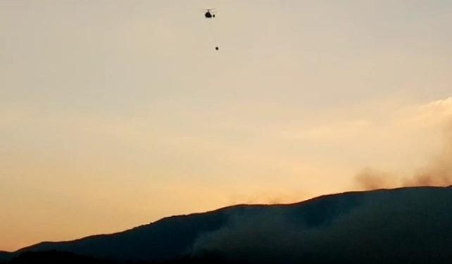 Hatay’da orman yangını