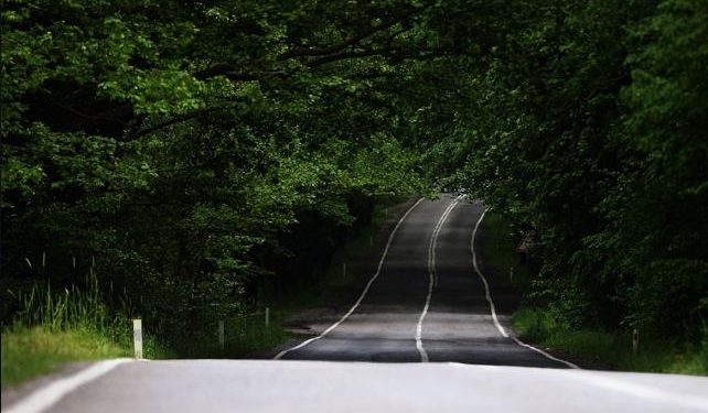 Hatıra fotoğrafı çektirmek isterken öldü