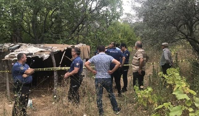 İncir toplamak için ağaca çıktı: Sonrası korkunç