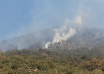 İzmir’de kontrol altına alınan yangın yeniden büyüdü