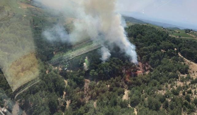 İzmir’de orman yangını