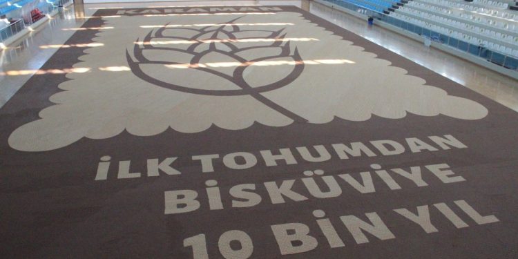 Karaman’da dünyanın en büyük buğday başağı mozaiği yapıldı