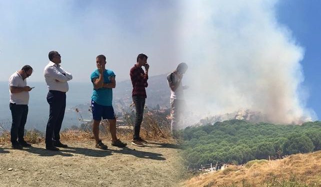 Marmara Adası’nda orman yangını: Belediye Başkanı destek istedi