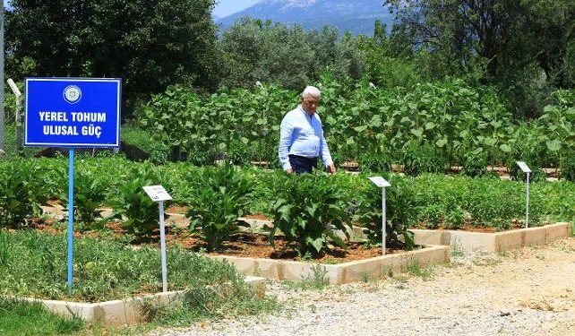 Muğla Büyükşehir’den ‘tarlanıza geliyoruz’ projesi