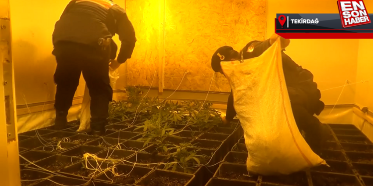 Tekirdağ’da villa görünümlü uyuşturucu serasına operasyon yapıldı