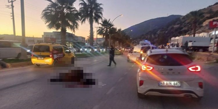 Bodrum’da acı kaza: Otomobilin çarptığı at öldü